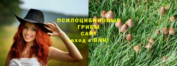хмурый Абинск