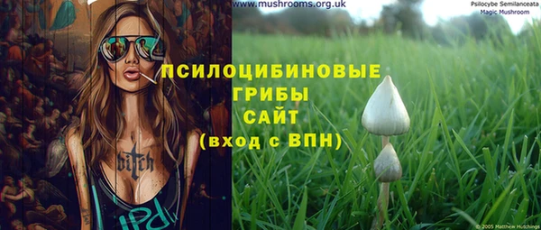 хмурый Абинск