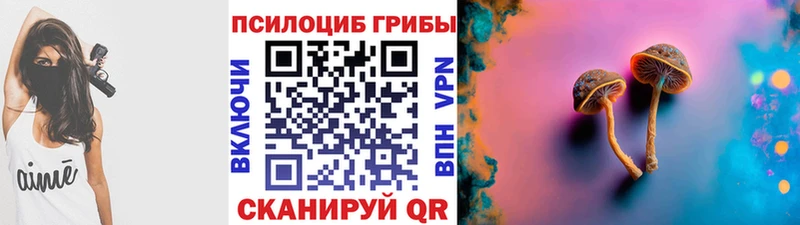 Псилоцибиновые грибы ЛСД  наркота  Сафоново 